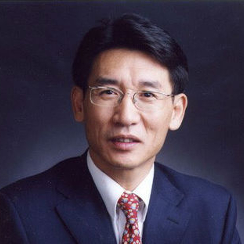 Professor Xue Qi-Kun