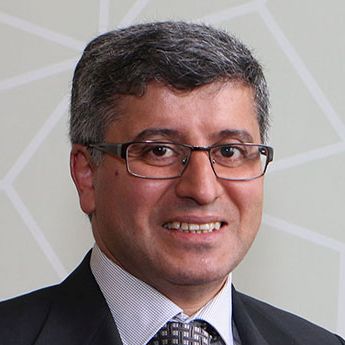 Professor Habib Ammari