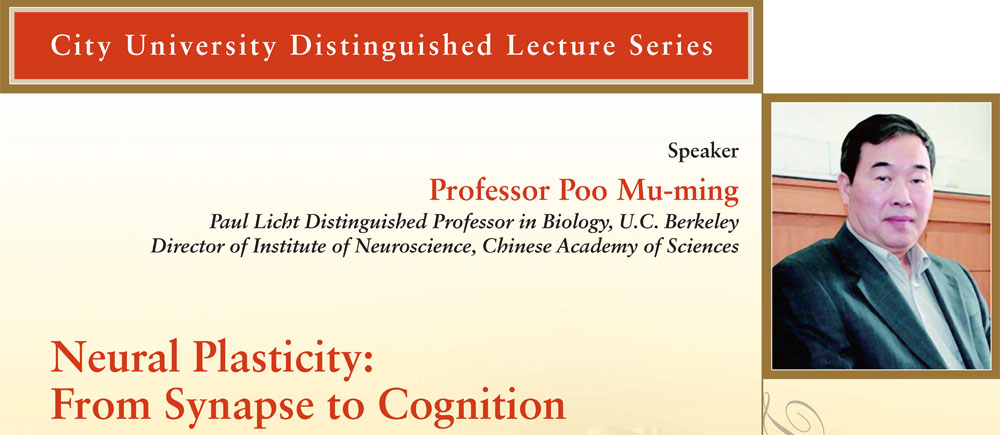 Neural Plasticity: From Synapse to Cognition