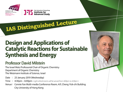 Professor David Milstein