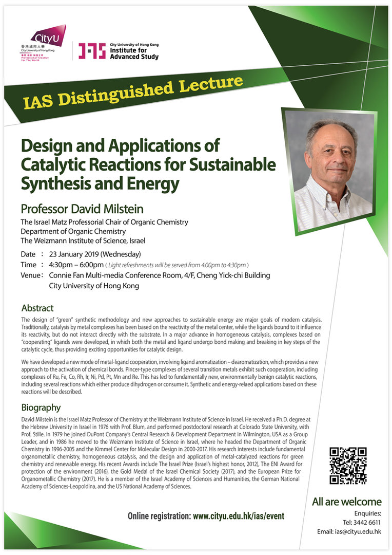 Professor David Milstein