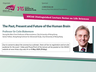 The Past, Present and Future of the Human Brain