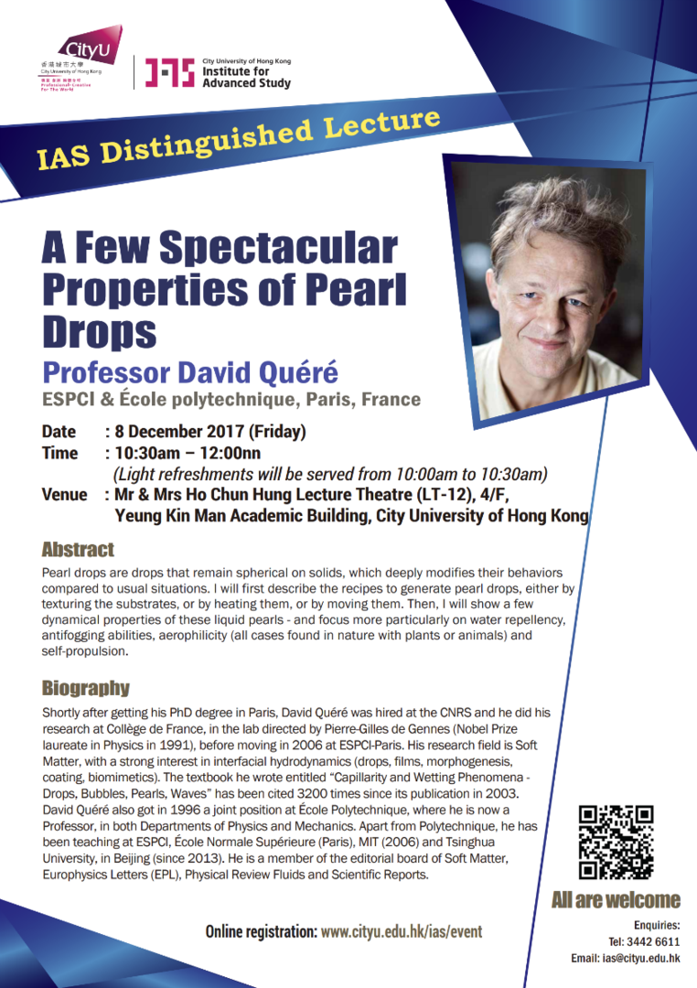 Professor David Quéré