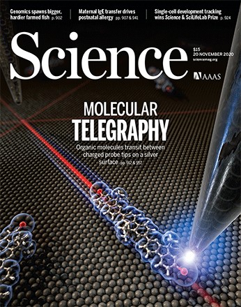A scientific approach to solving global problems