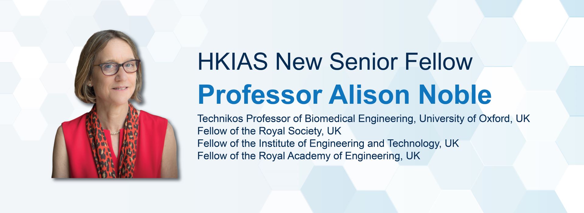 prof Alison Noble