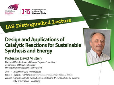 Professor David Milstein