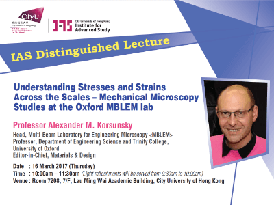 Professor Alexander M. Korsunsky