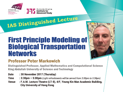 Professor Peter Markowich