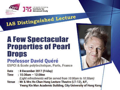 Professor David Quéré